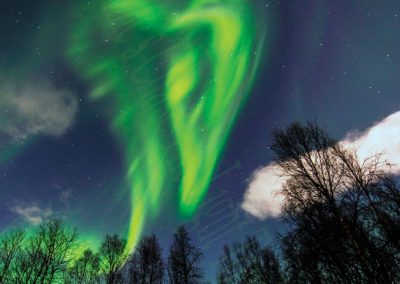 Landscape-&-Aurora-Corona-Gallery-10