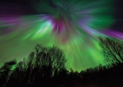 Landscape-&-Aurora-Corona-Gallery-14