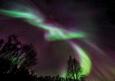 Landscape-&-Aurora-Corona-Gallery-8