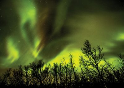 Landscape-&-Aurora-Gallery-16