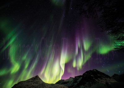 Landscape-&-Aurora-Gallery-2