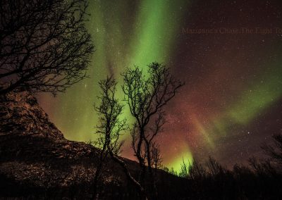 Landscape-&-Aurora-Gallery-25
