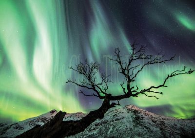 Landscape-&-Aurora-Gallery-6
