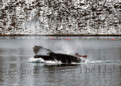 Wildlife-Tour-Gallery-5